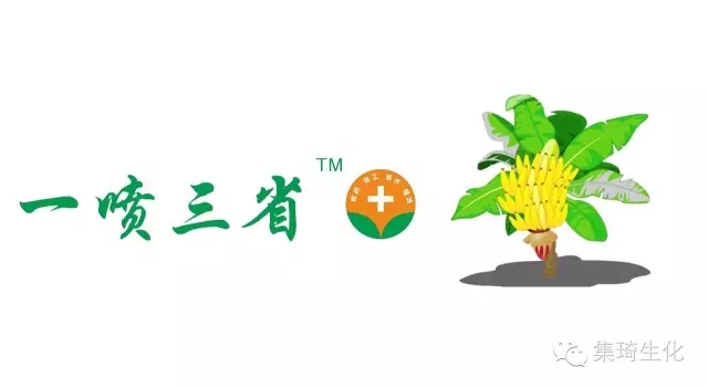 一噴三省+香蕉綠色健康病蟲(chóng)害防治模式