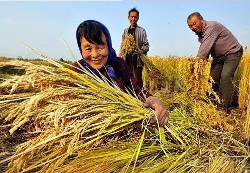 重磅！繼包產(chǎn)到戶之后，我國農(nóng)村又一次迎來重大改革