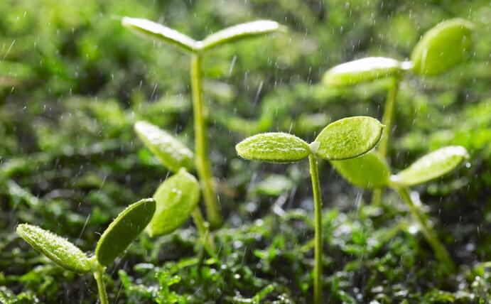 動態(tài) | 生物刺激劑多重效果大揭秘，可減少百萬噸氮肥的投入！